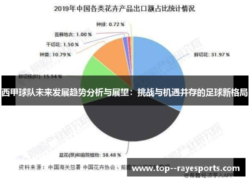 西甲球队未来发展趋势分析与展望：挑战与机遇并存的足球新格局
