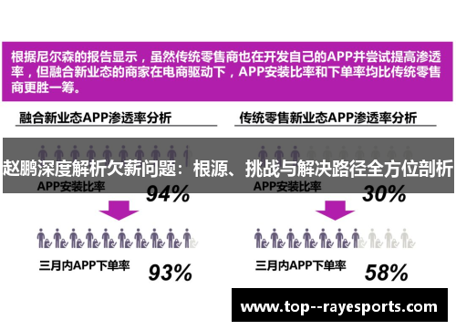 赵鹏深度解析欠薪问题：根源、挑战与解决路径全方位剖析